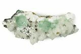 Gemmy Apophyllite Crystals with Stilbite - India #243897-3